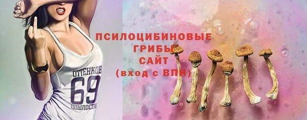МДПВ Алексеевка